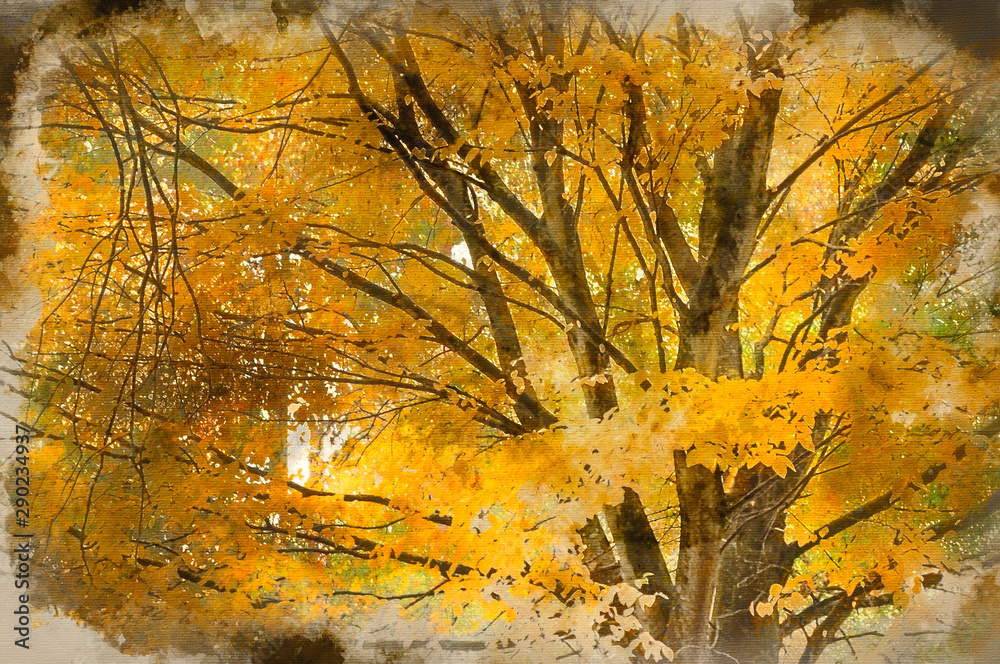 Digital watercolor painting of Beautiful Autumn Fall nature image landscape
