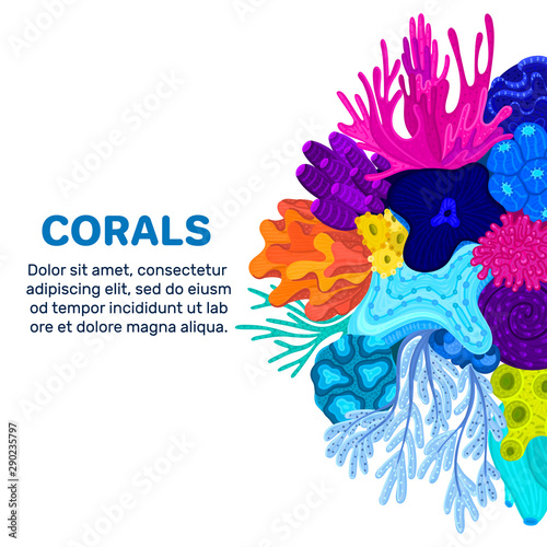Vector composition of corals. Background with colorful sea or ocean life. Template for cover, invitation, banner, brochure, flyer, label, header. Advertising of water park, aquarium, marine exhibition