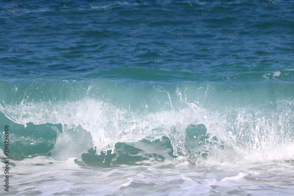 Obraz premium Big beautiful wave in turquoise water