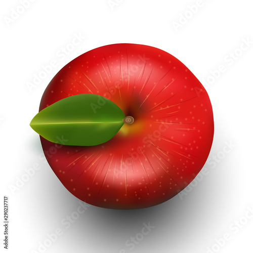 Vector illustration of red apple top view