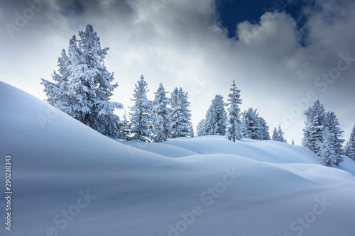 Winterlandschaft mit verschneiten Bäumen im Hintergrund