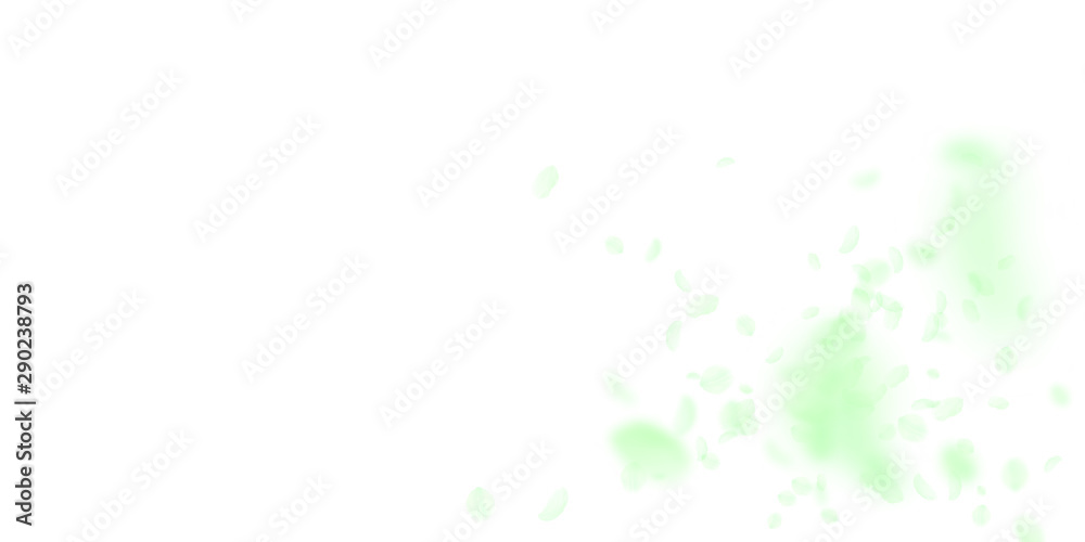 Green flower petals falling down. Rare romantic fl Green flower petals falling down. Rare romantic fl