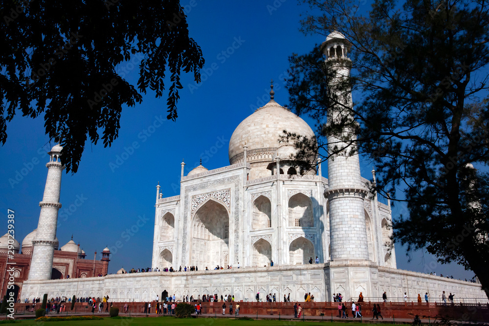 Obraz premium Taj Mahal white palace in Agra, India