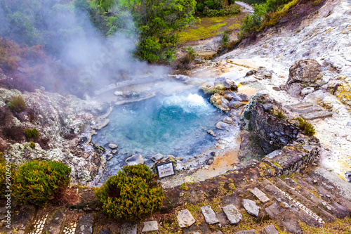 Obraz na płótnie Hot thermal springs in Furnas village, Sao Miguel island, Azores, Portugal. Caldeira do Asmodeu w salonie