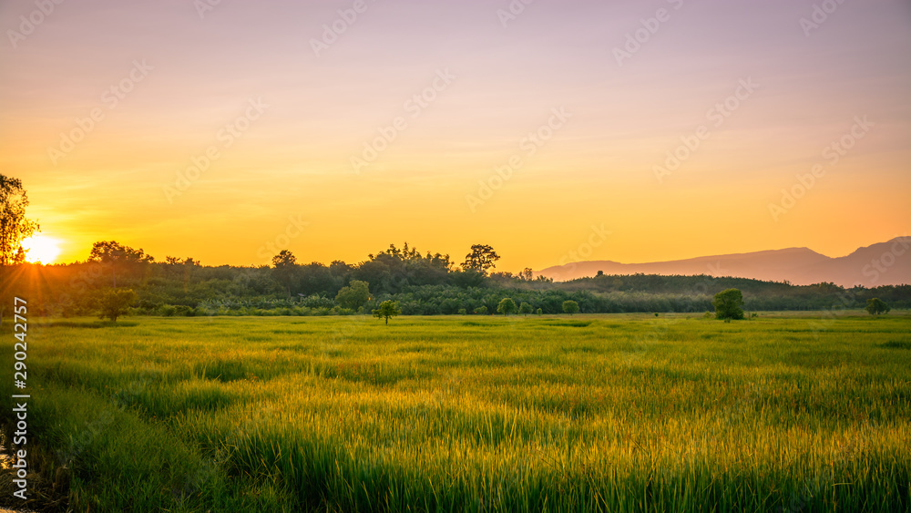 Scenic View Of Agricultural Field Against Sky During Sunset