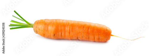 Carrot on white background. Fresh ripe vegetables