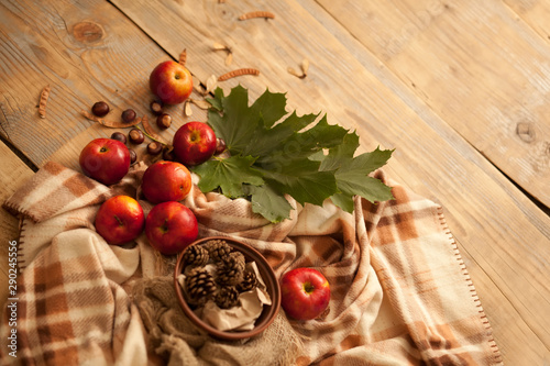 autumn composition of apples red maple leaves green plaid wooden table bumps on a clay plate locking warm light