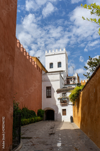 paseando por las antiguos calles de la juder  a de Sevilla y hoy llamado barrio de Santacruz 