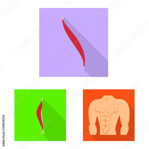 Vector design of muscle and cells sign. Set of muscle and anatomy stock vector illustration.