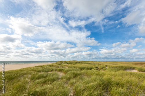 Dune landscape at Rømø island, Denmark