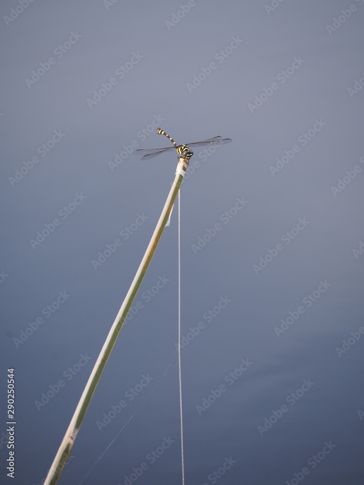 Fototapeta premium wind power turbine against blue sky