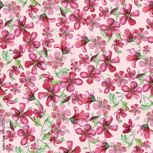 Watercolor seamless pattern with pink wildflowers.Watercolor meadow geranium. Illustration isolated on white background.