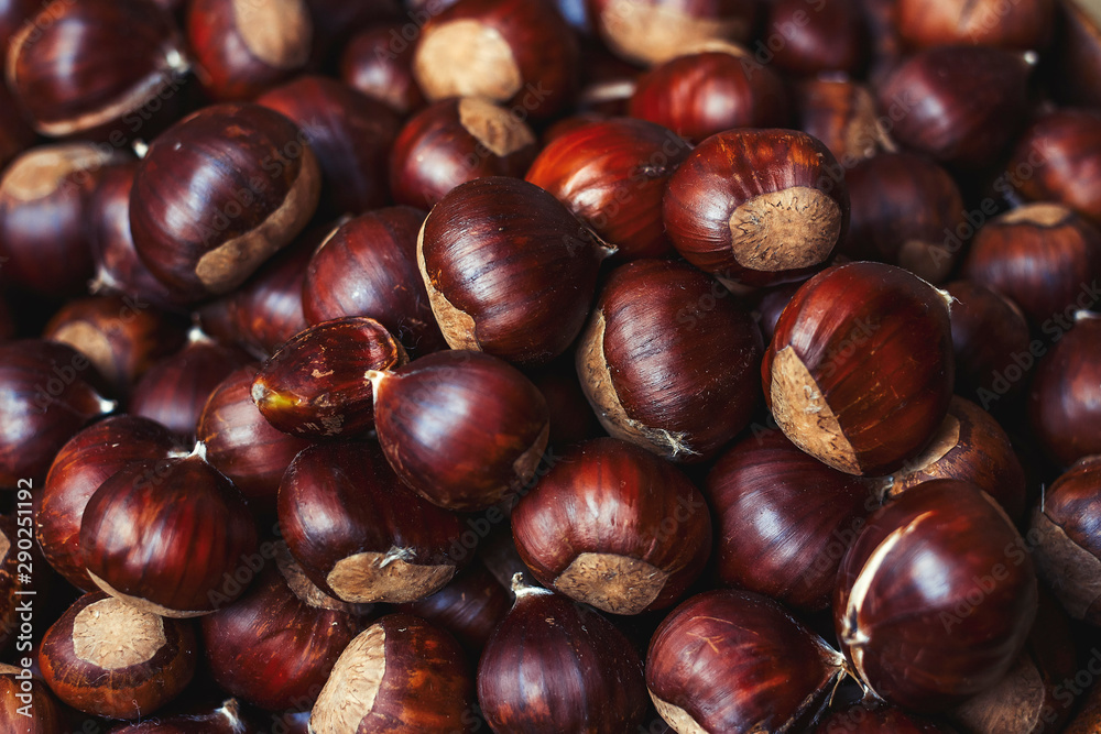 sweet chestnuts background autumn harvest sweet chestnuts background autumn harvest