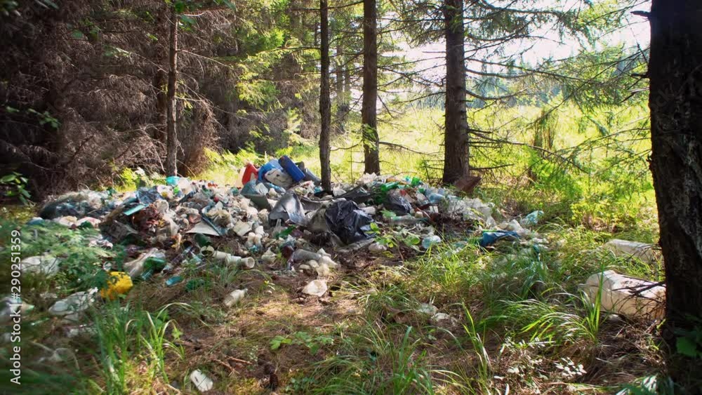 Tilt up of coniferous forest hides huge piles of garbage under branches of trees plastic bottles glass rubber mats metal cans among pine needles and cones. Man-made problems of environmental pollution