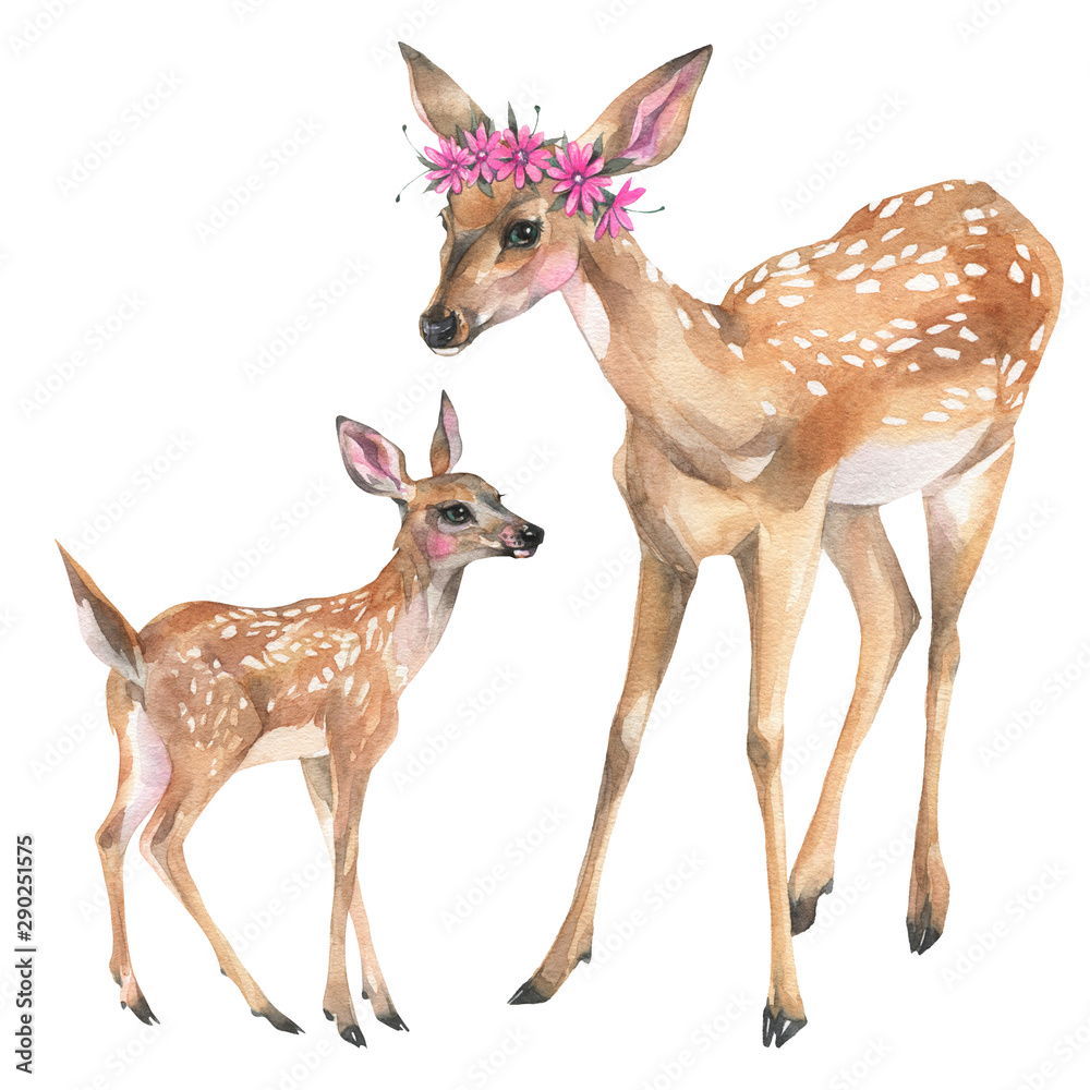 Naklejka premium Hand painted watercolor illustration. Cute family of whitetail deers on white background.