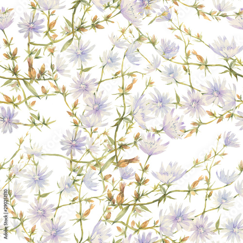 Hand painted watercolor illustration. Floral seamless pattern with flowers of chicory.