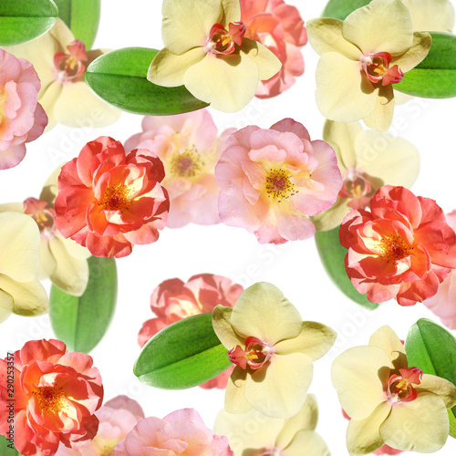 Beautiful floral background of orchids and roses. Isolated