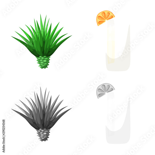 Isolated object of cafe and Latin sign. Collection of cafe and national stock symbol for web.