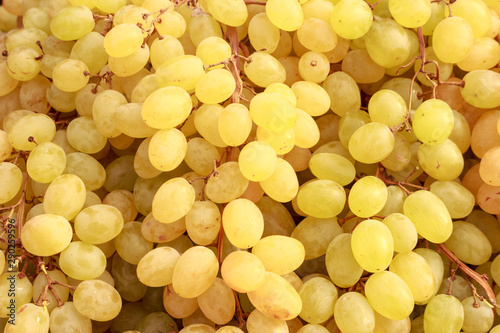 White vine grape background