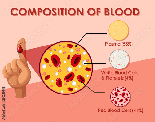Diagram showing composition of blood cell