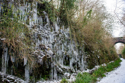Icicles hanging on the side of an old disused railway cutting