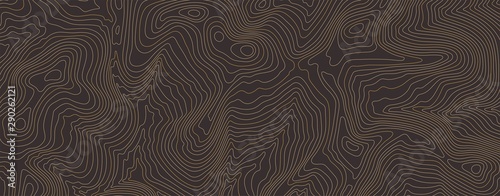 Background of topographic line contour map, black-white design of geographic grid map