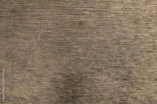 old wood texture, dirty wood background,moldy wood