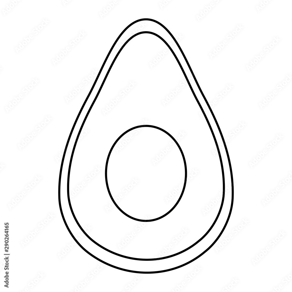 Isolated avocado fruit vector design Isolated avocado fruit vector design