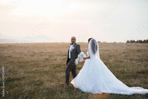 Beautiful bride and groom at field. Groom and bride in a wedding dress going through the field on a background of blue sky at sunset. Wedding. Bride and groom holding hands and walk on the green field