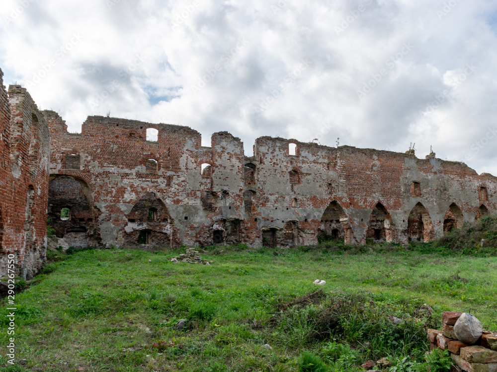 impressive ruins, from the castle built in 1266, red brick walls, trees on the walls, Castle Brandenburg, Kaliningrad Oblast, Russia