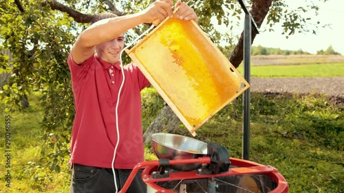 beekeeper cuts wax from honeycomb frame with a special electrik knife photo