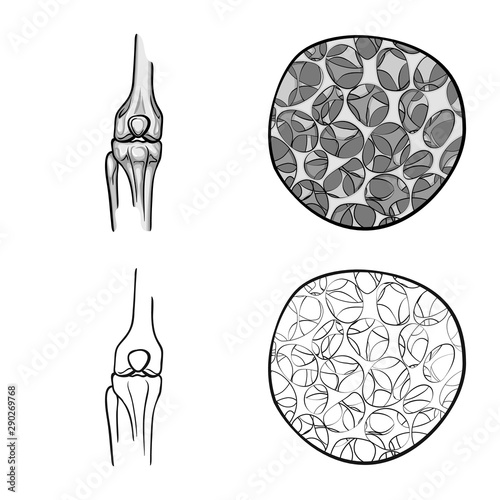 Vector illustration of medicine and clinic icon. Collection of medicine and medical stock symbol for web.