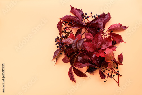 Red leaves of girlish (wild) grape or parthenocissus on orange background. Top view. Flat lay. Autumn composition. photo