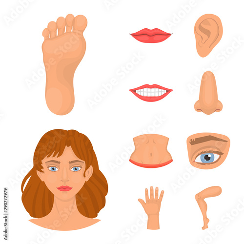 Vector illustration of body and part logo. Set of body and anatomy stock symbol for web.