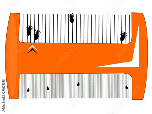 Illustration poux
