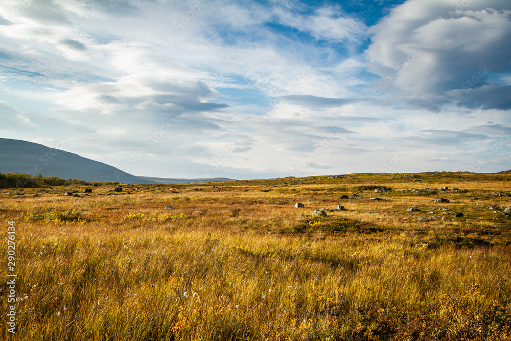 Tundra - Northern Landscape