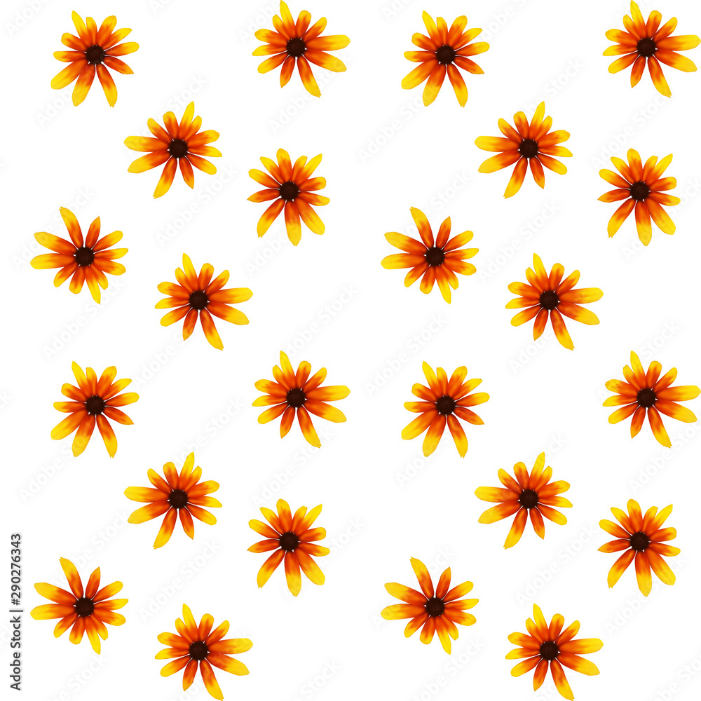 Colorful yellow echinacea on white background. Seamless pattern. Vector illustration Colorful yellow echinacea on white background. Seamless pattern. Vector illustration