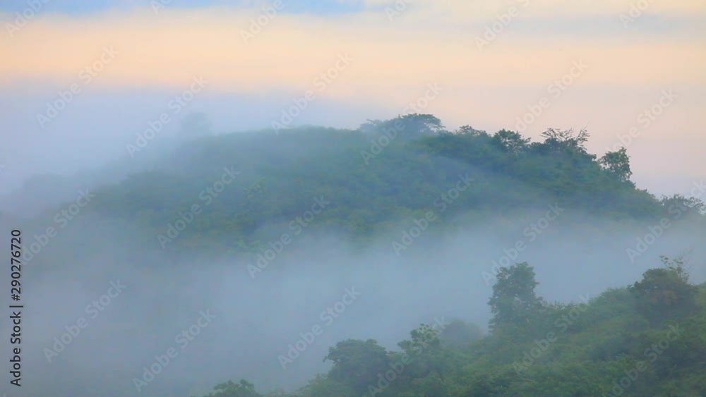 Fog flowing through the mountain top at dawn, Khao Yai National Park, Thailand Fog flowing through the mountain top at dawn, Khao Yai National Park, Thailand