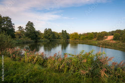 Pond in Zalesie Dolne, Piaseczno, Poland