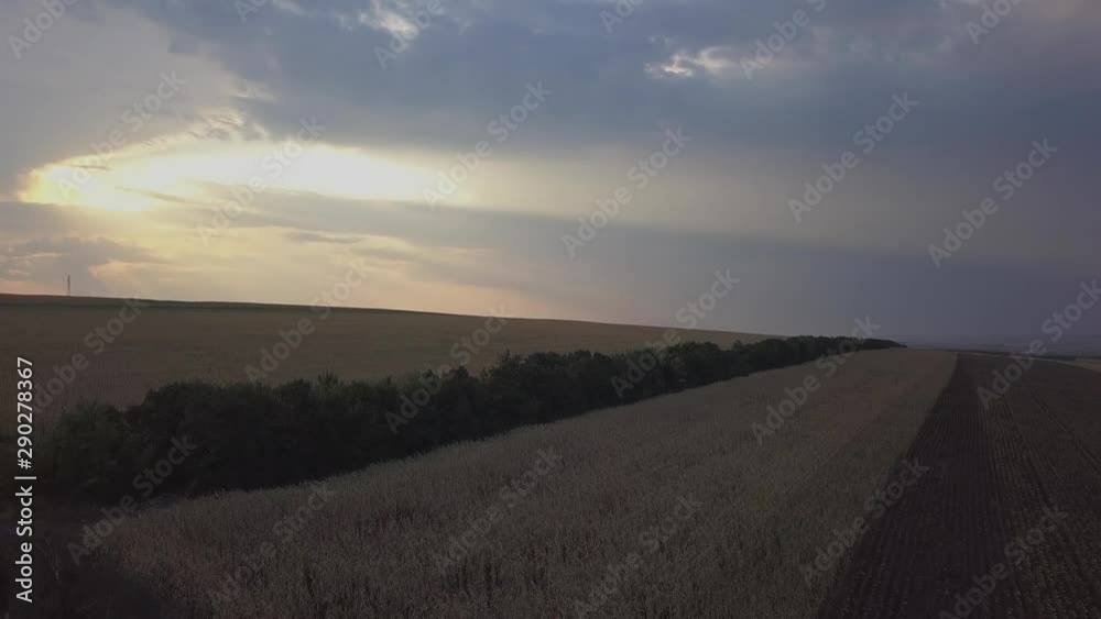Aerial view. Flight above rural summer field with endless yellow landscape at summer sunny evening. Sun rays on horizon. Agricultural farmland at autumn. Aerial view. Flight above rural summer field with endless yellow landscape at summer sunny evening. Sun rays on horizon. Agricultural farmland at autumn.