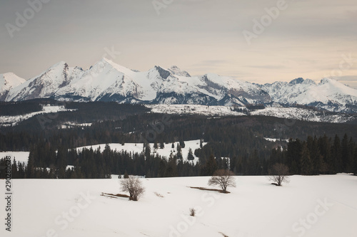 View from Lapszanka on sunset above tatra moutains in winter scenery.