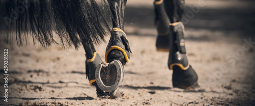 The shod hooves of a black horse, with a glossy long tail galloping across the sandy arena in the sunlight. photo