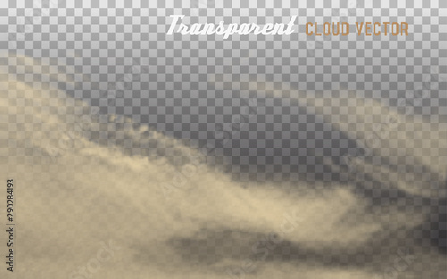 Dust cloud  with  dirt on transparent background. Vector