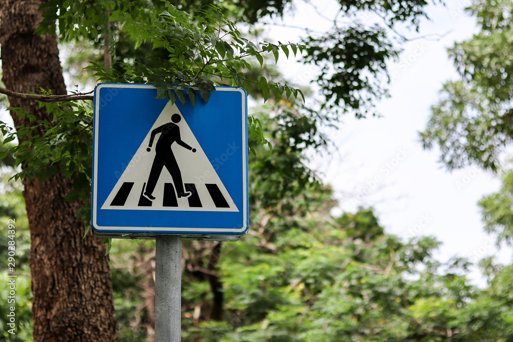 Zebra crossing, pedestrian cross warning traffic on blue background in the park.