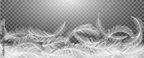 White Realistic Different Falling Feathers Isolated on Transparency Grid Background. Design Template. Vector illustrtion