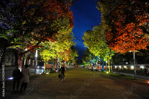 Strasse Unter den Linden, Berlin photo