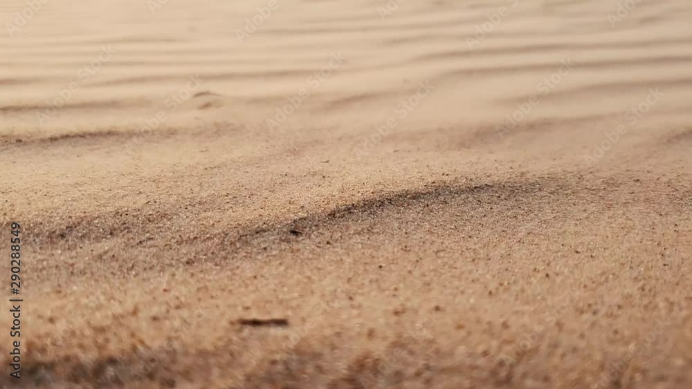 sand in the strong wind sand in the strong wind