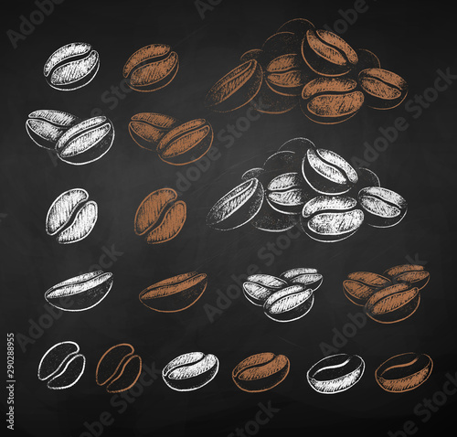 Vector chalk sketches set of coffee beans