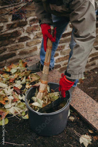 Wallpaper Mural Hands collect fallen leaves in plastic bucket Torontodigital.ca