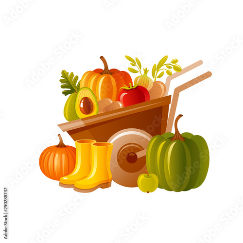 Farm wheelbarrow with harvest. Fruit, vegetable, rubber boots. Autumn fall pumpkin icon for harvest festival, thanksgiving day. Cartoon autumn vector illustration. Fall Isolated on white background